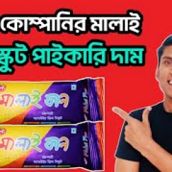 রিদিশা চোকো মালাই ৩৩ গ্রাম Reedisha Choco Malai 33g